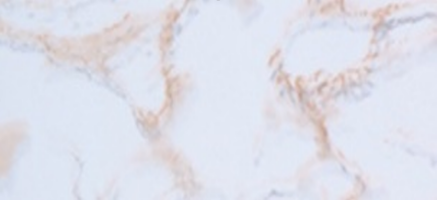 Экраны для ванны 1,7 Оптима № 26 (коричневый кам)